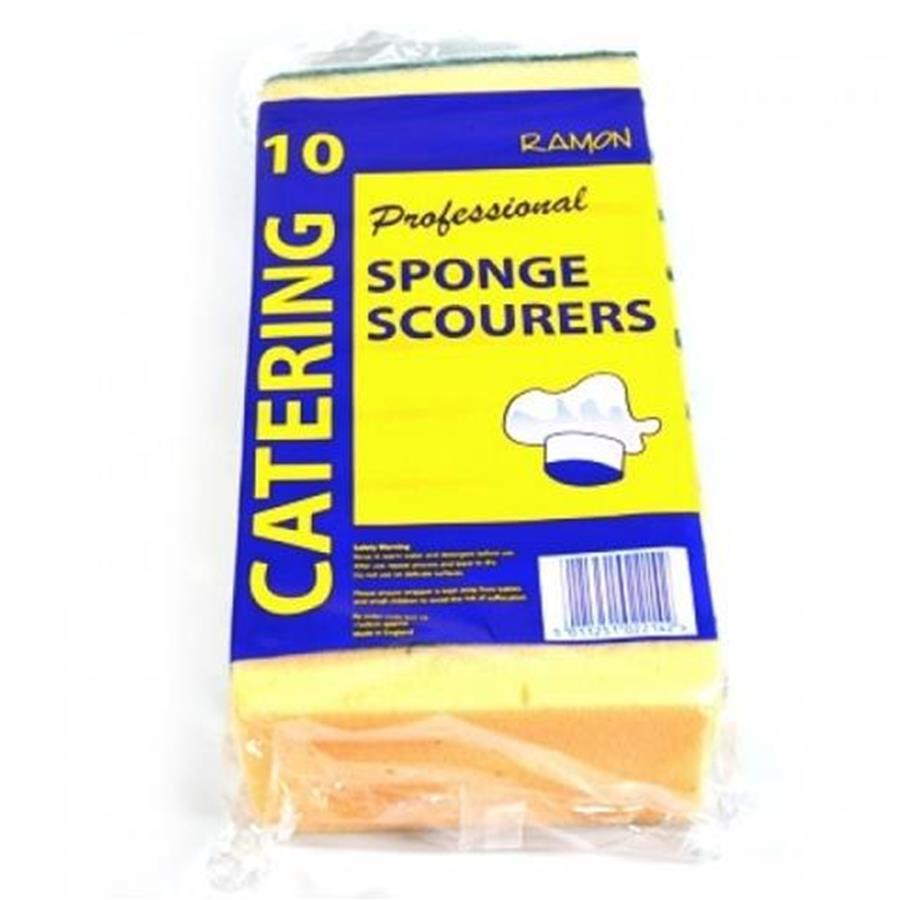 Sponge Scourer (Professional)