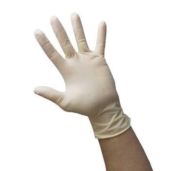 Latex Powder-Free Glove - Small